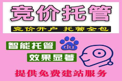 百度网络推广实战技巧：案例解析，让你轻松实现精准营销
